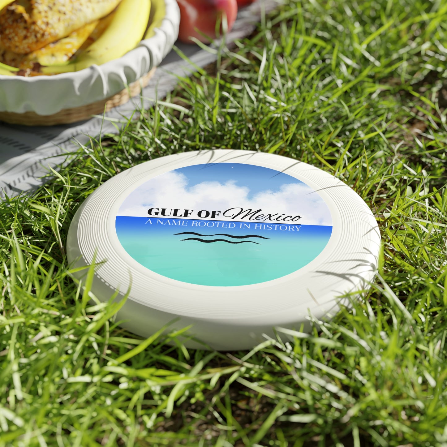 Gulf of Mexico Frisbee