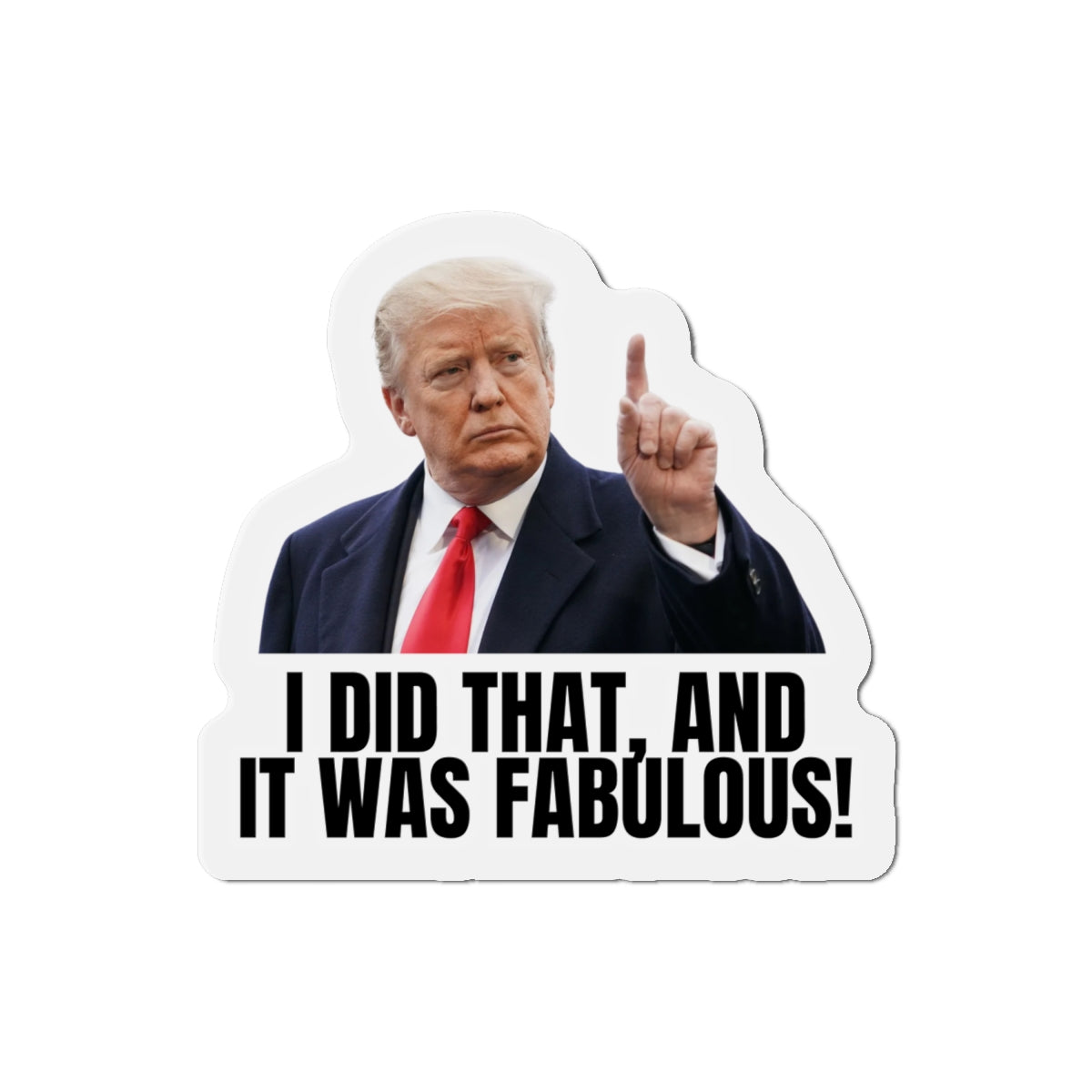 Die-Cut Magnet - "I Did That, And It Was Fabulous!" - Fun Political Decor