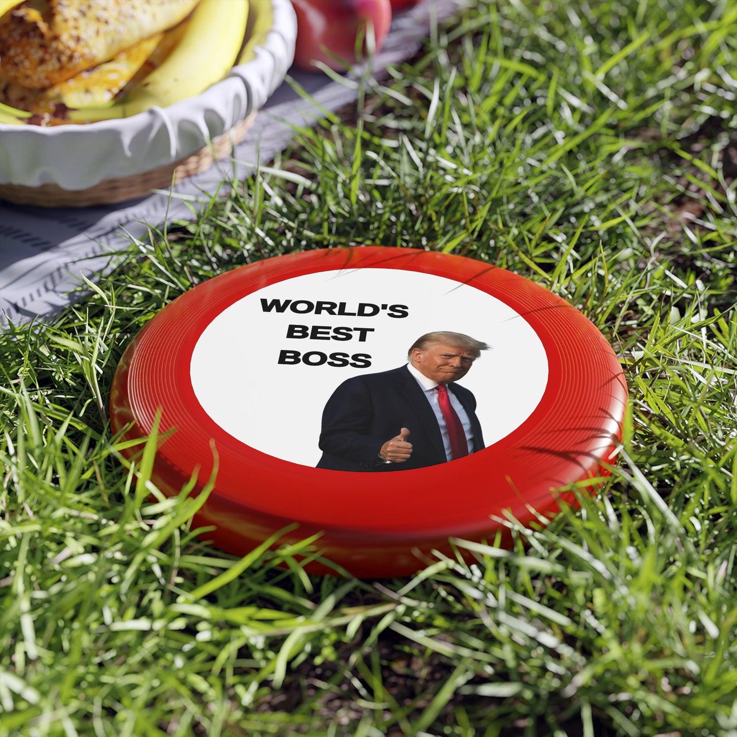 World's Best Boss Frisbee - Fun Outdoor Toy for Friends & Family