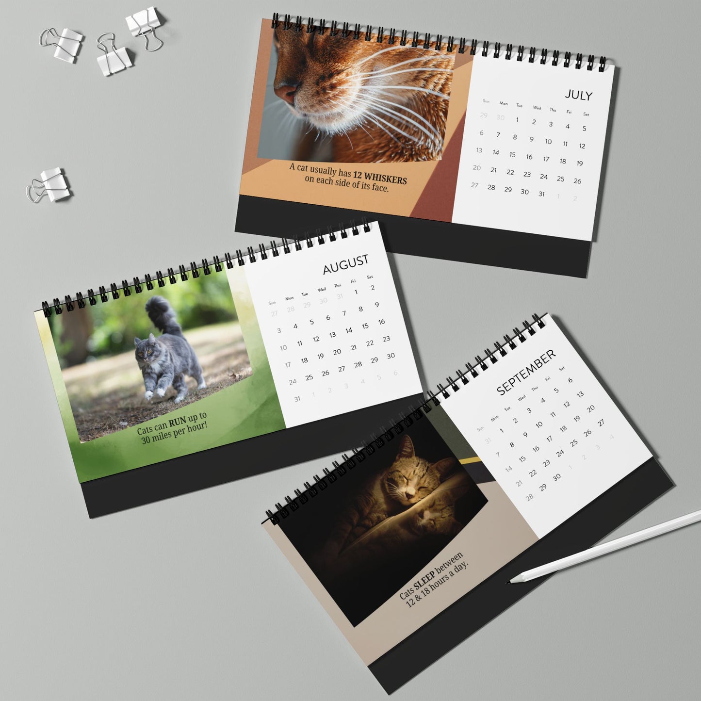 Random Cat Facts Month-by-Month Desktop Calendar (2025 grid)