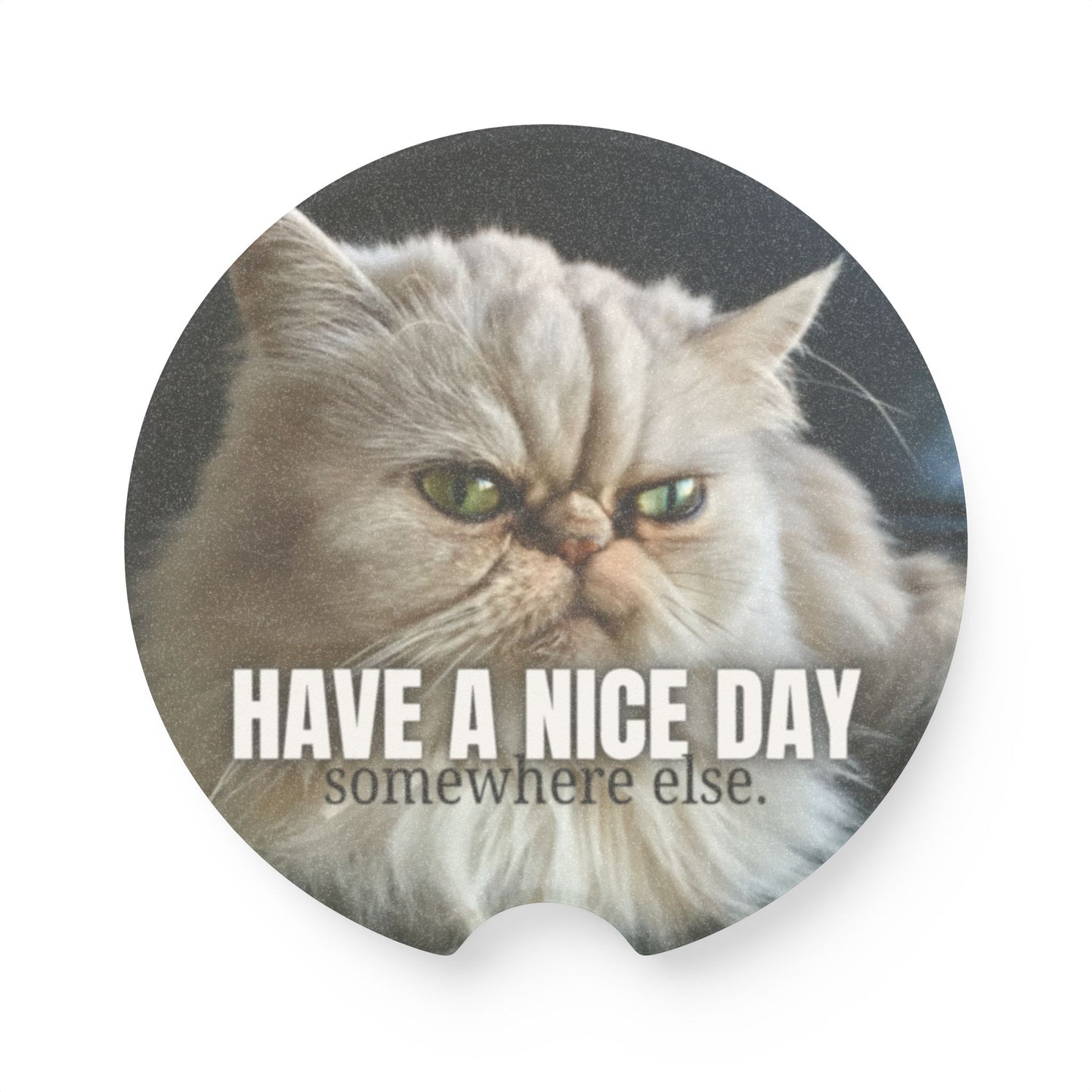 Have a Nice Day Somewhere Else Soapstone Car Coaster