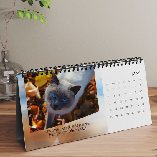 Random Cat Facts Month-by-Month Desktop Calendar (2025 grid)