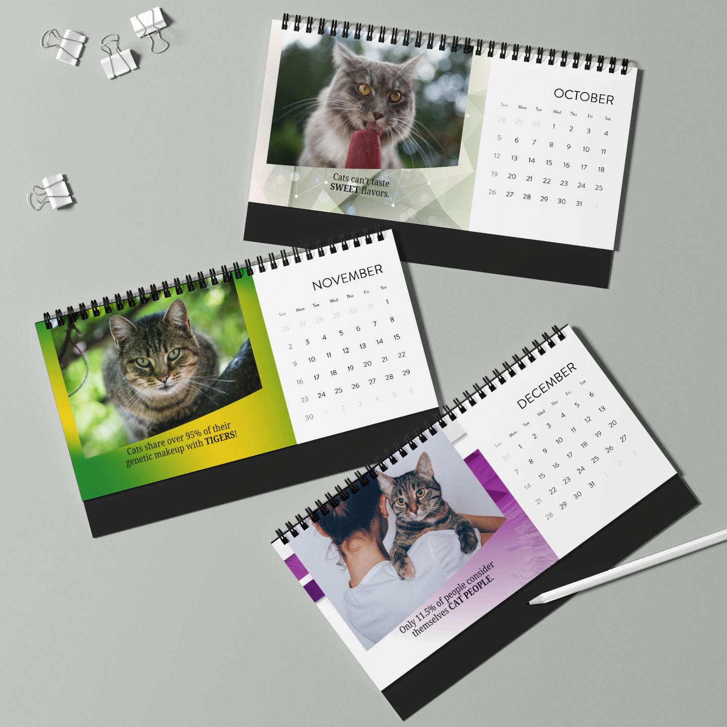 Random Cat Facts Month-by-Month Desktop Calendar (2025 grid)