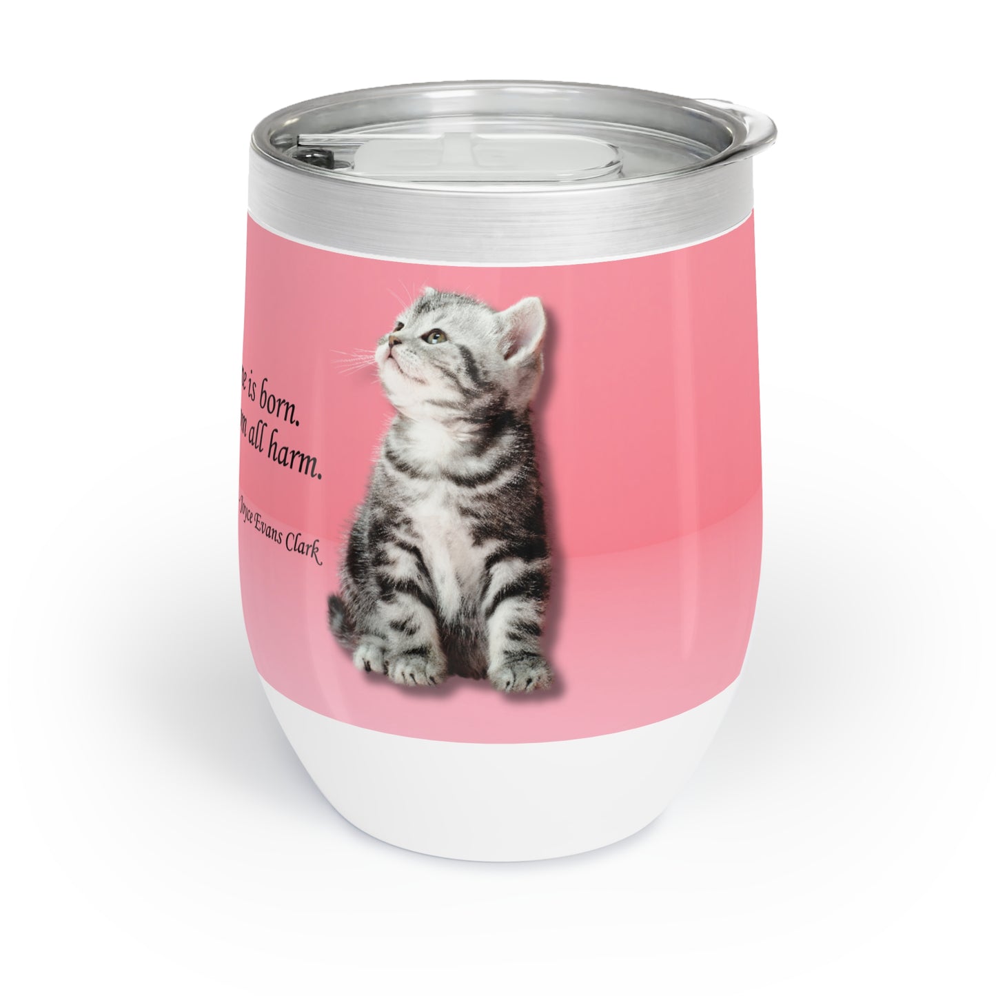 A Little One is Born Chill Wine Tumbler