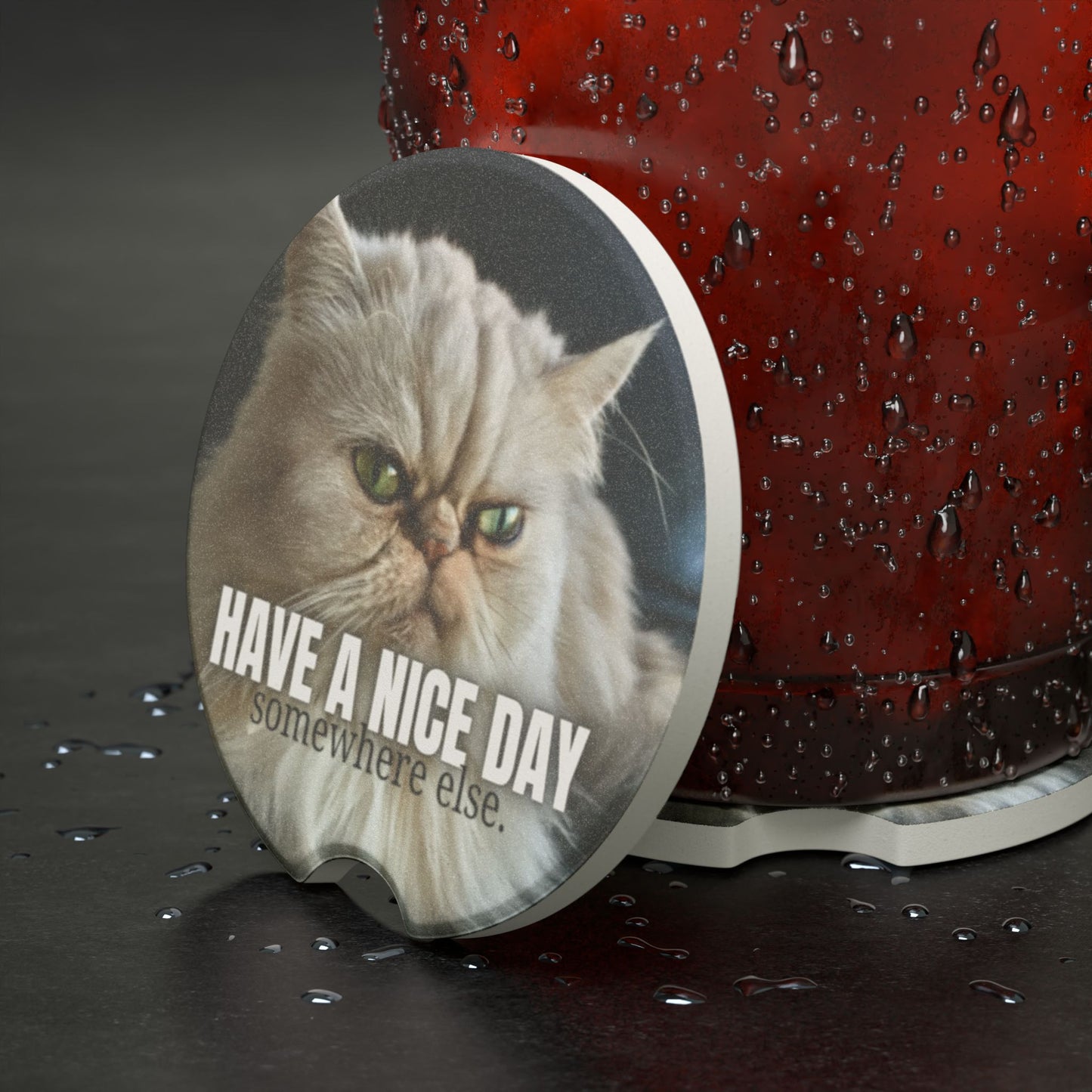 Have a Nice Day Somewhere Else Soapstone Car Coaster