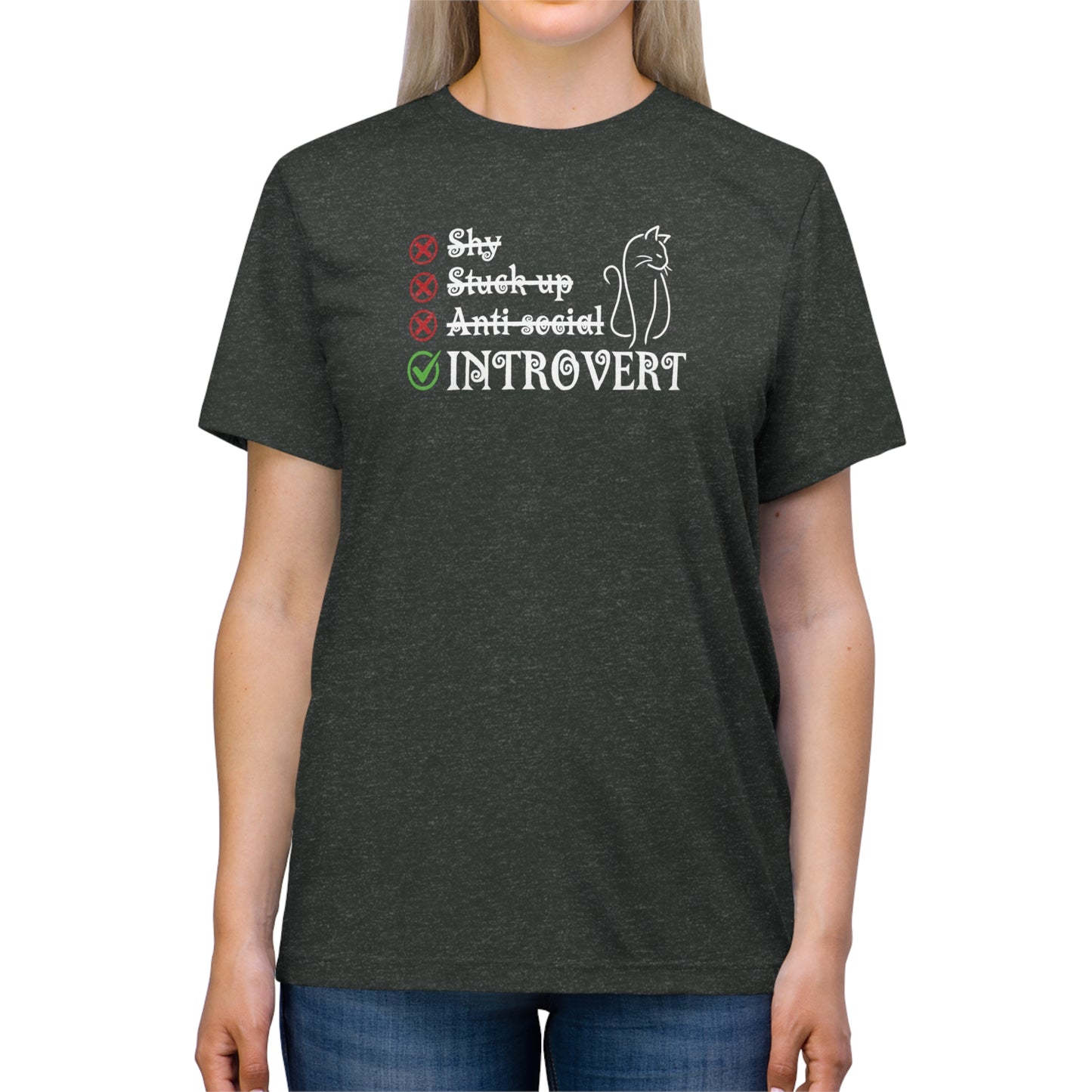 Introvert Unisex Triblend Tee - T - Shirt - Epileptic Al’s Shop