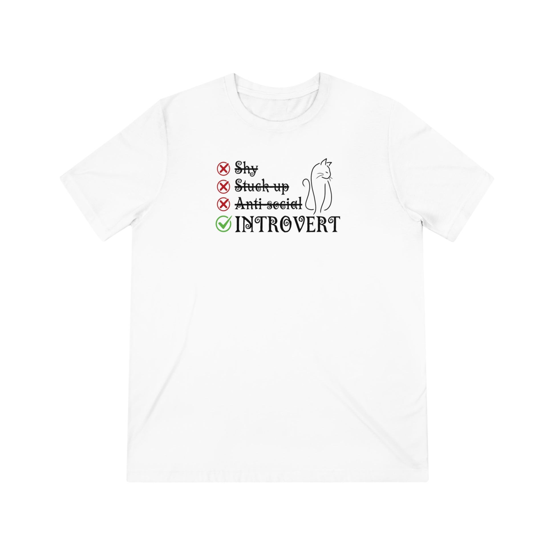 Introvert Unisex Triblend Tee - T - Shirt - Epileptic Al’s Shop