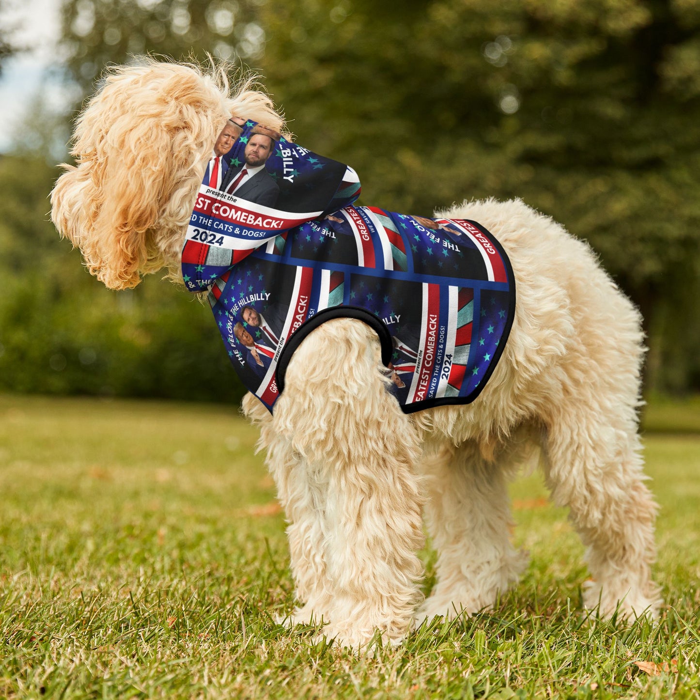 Felon & Hillbilly Greatest Comeback Pet Hoodie