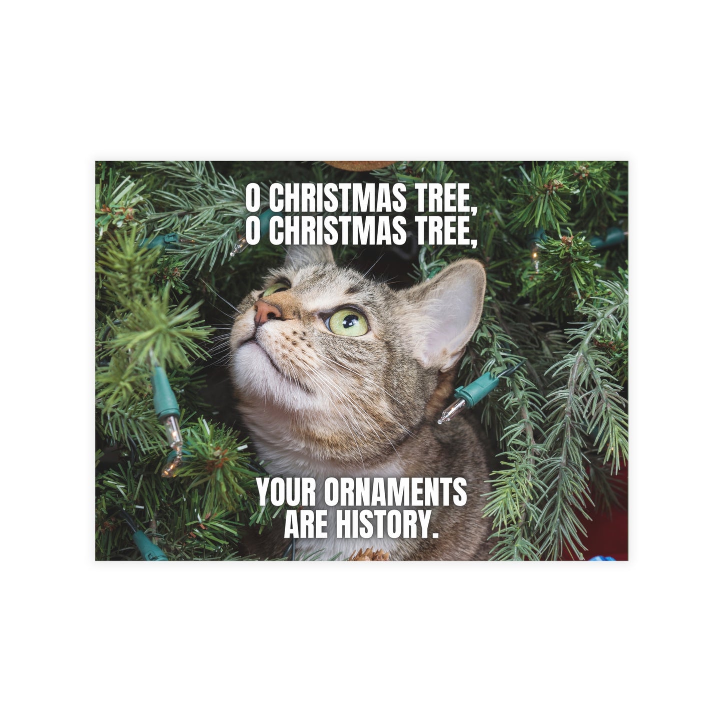 O Christmas Tree Postcard Bundles (envelopes included)