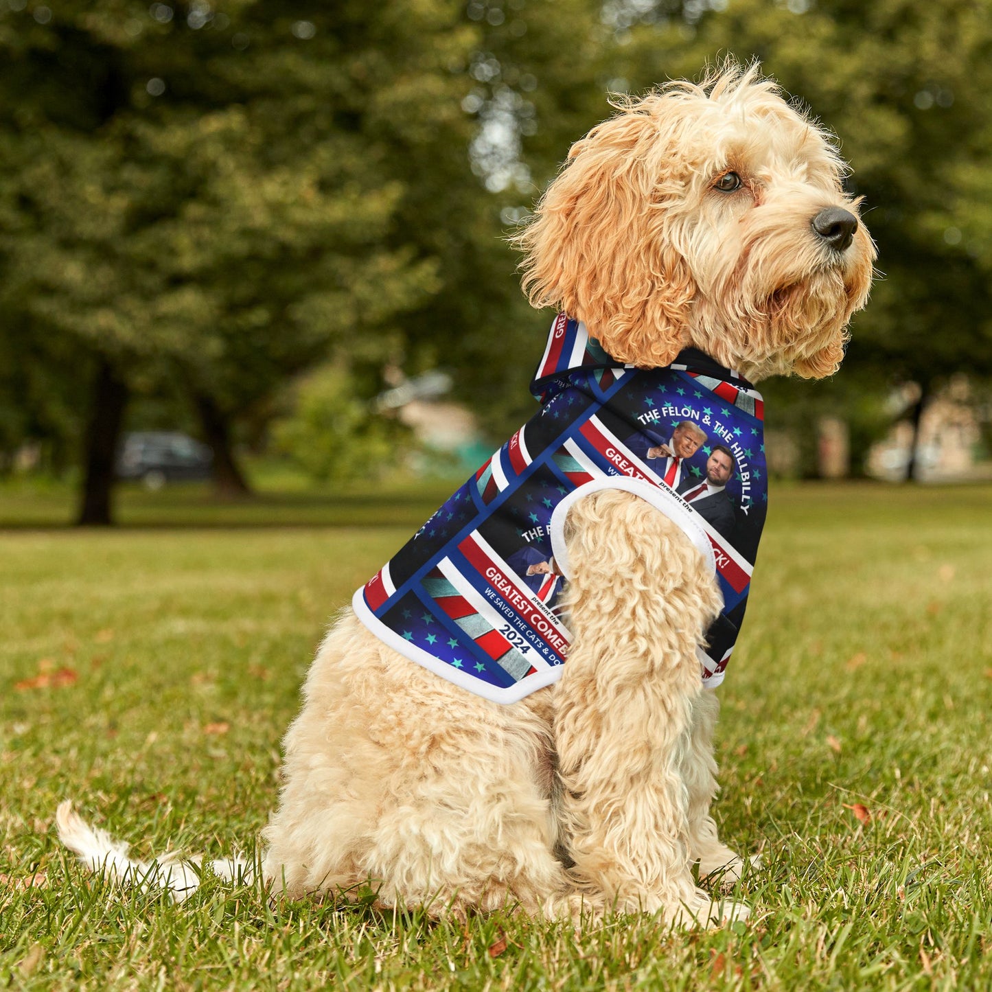 Felon & Hillbilly Greatest Comeback Pet Hoodie