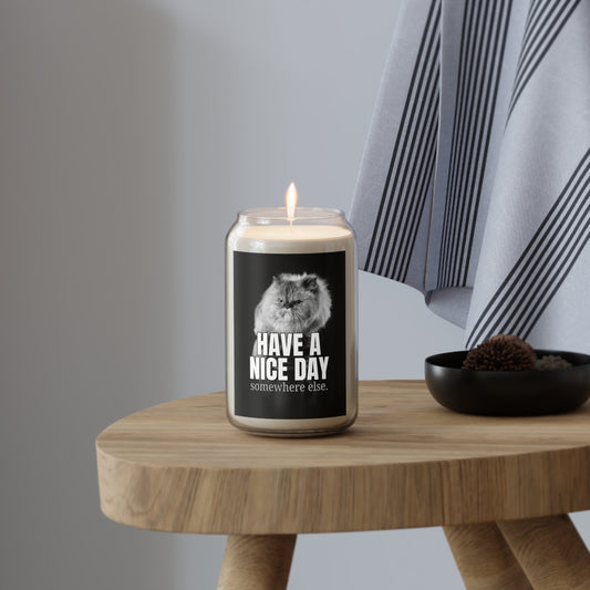 Have a Nice Day Scented Candle, 13.75oz