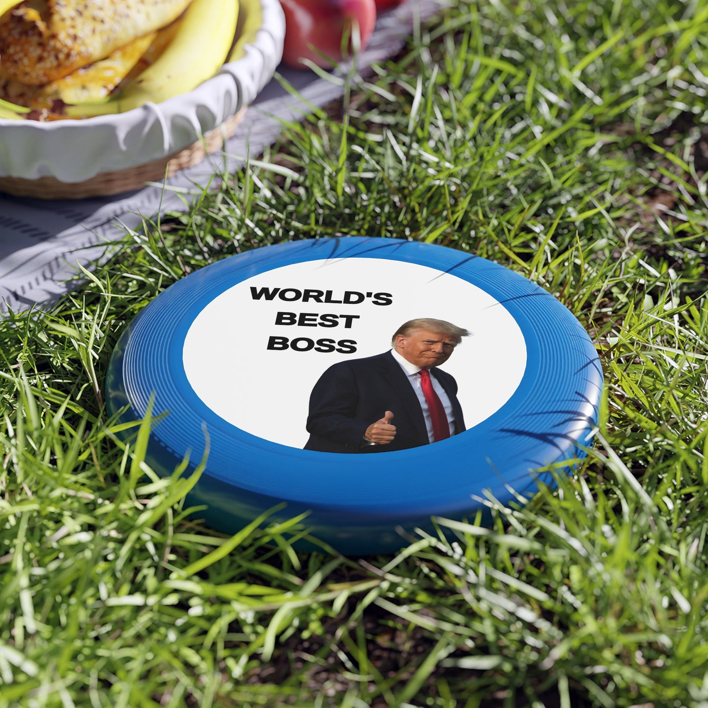 World's Best Boss Frisbee - Fun Outdoor Toy for Friends & Family