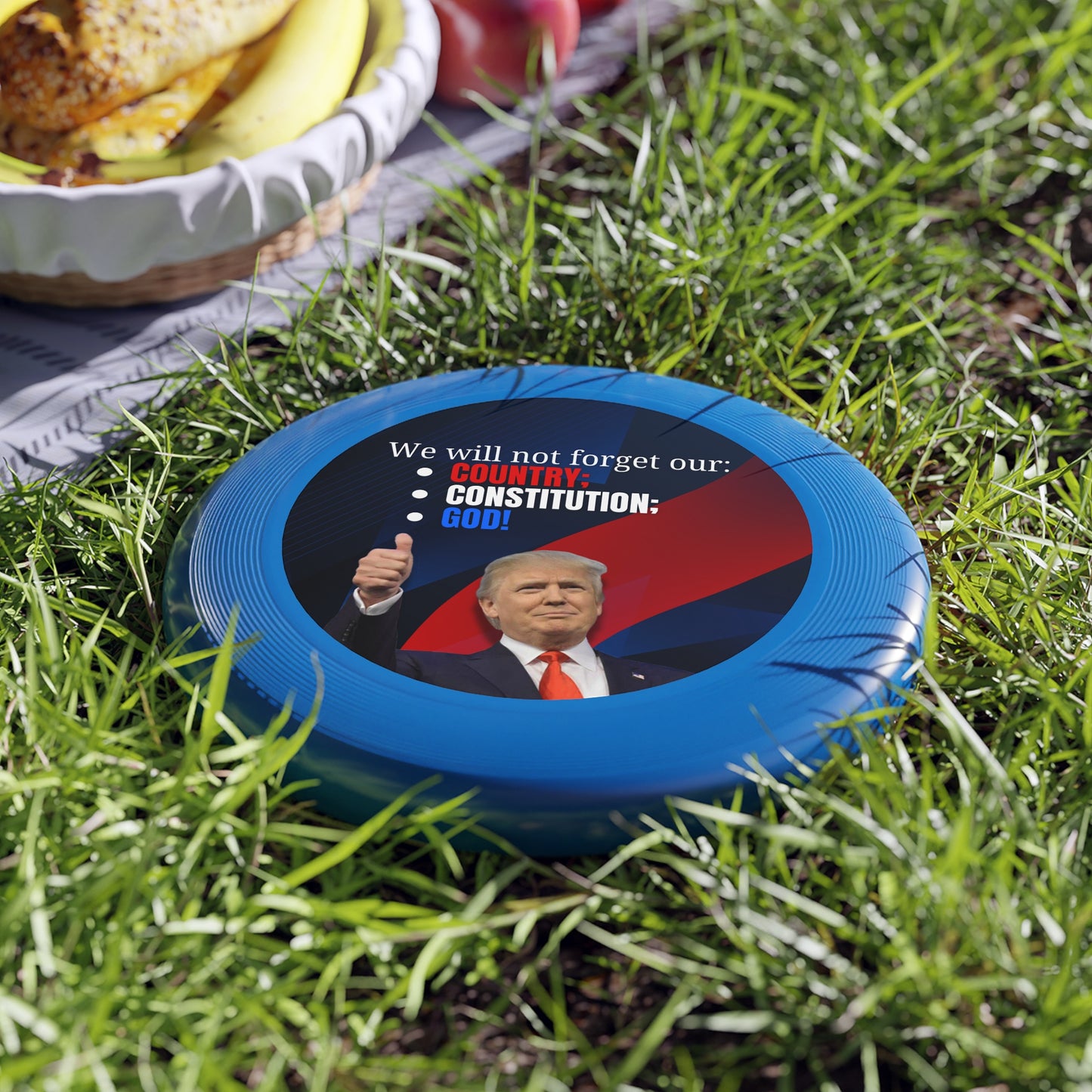 Patriotic Frisbee - "We Will Not Forget Our Country; Constitution; God!"