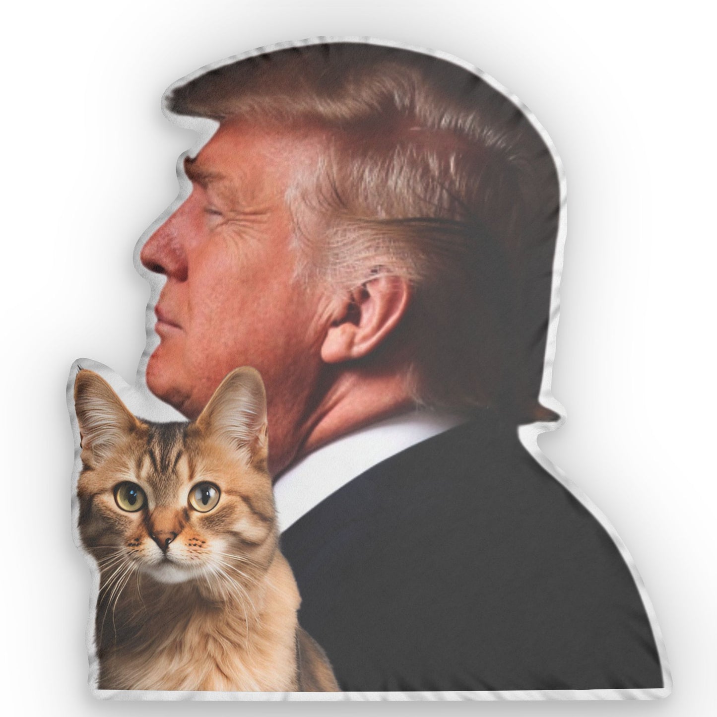 Proud Cat Lady/Trump Lady Pillow