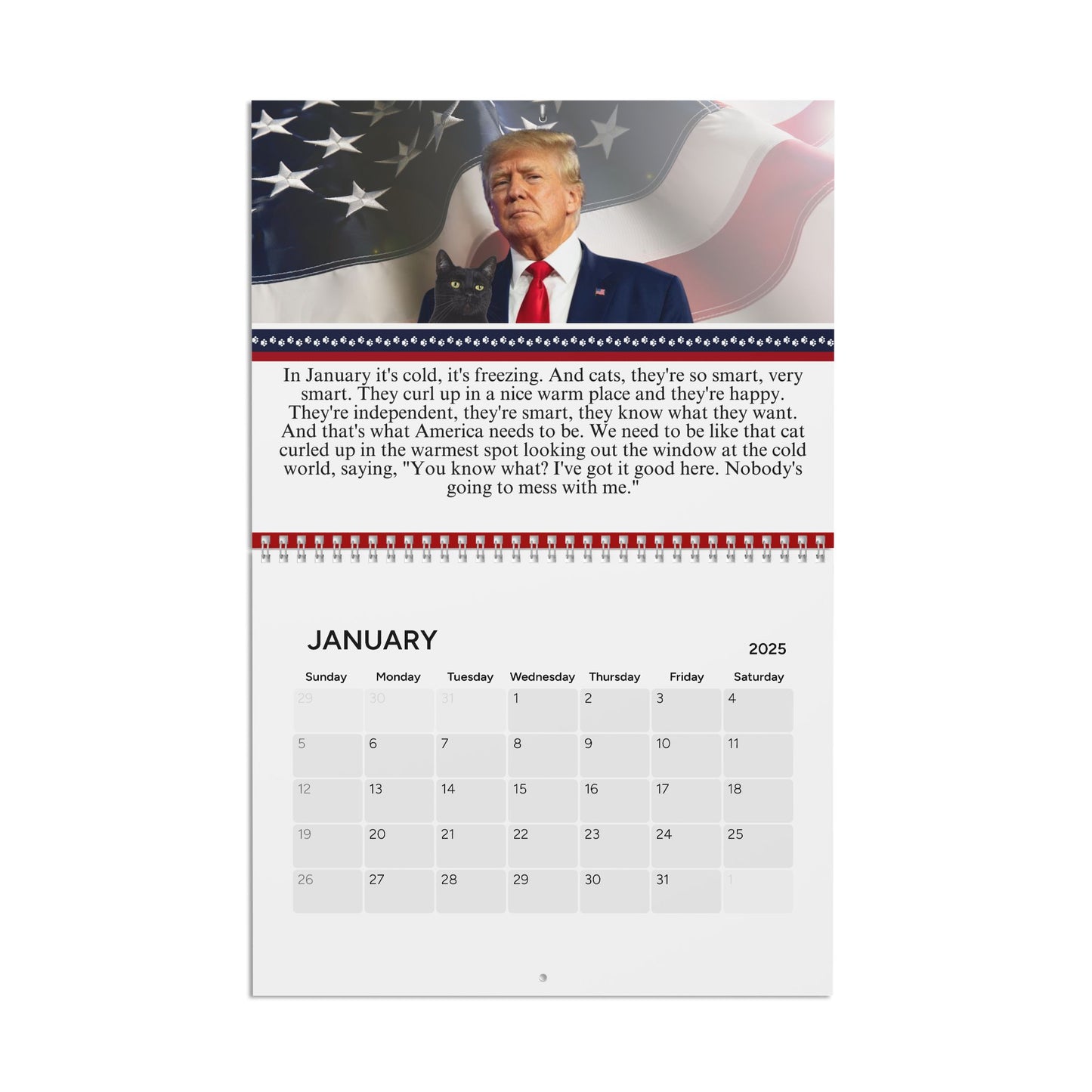 Trump Reflects on Cats Month-by-Month Calendar (2025)