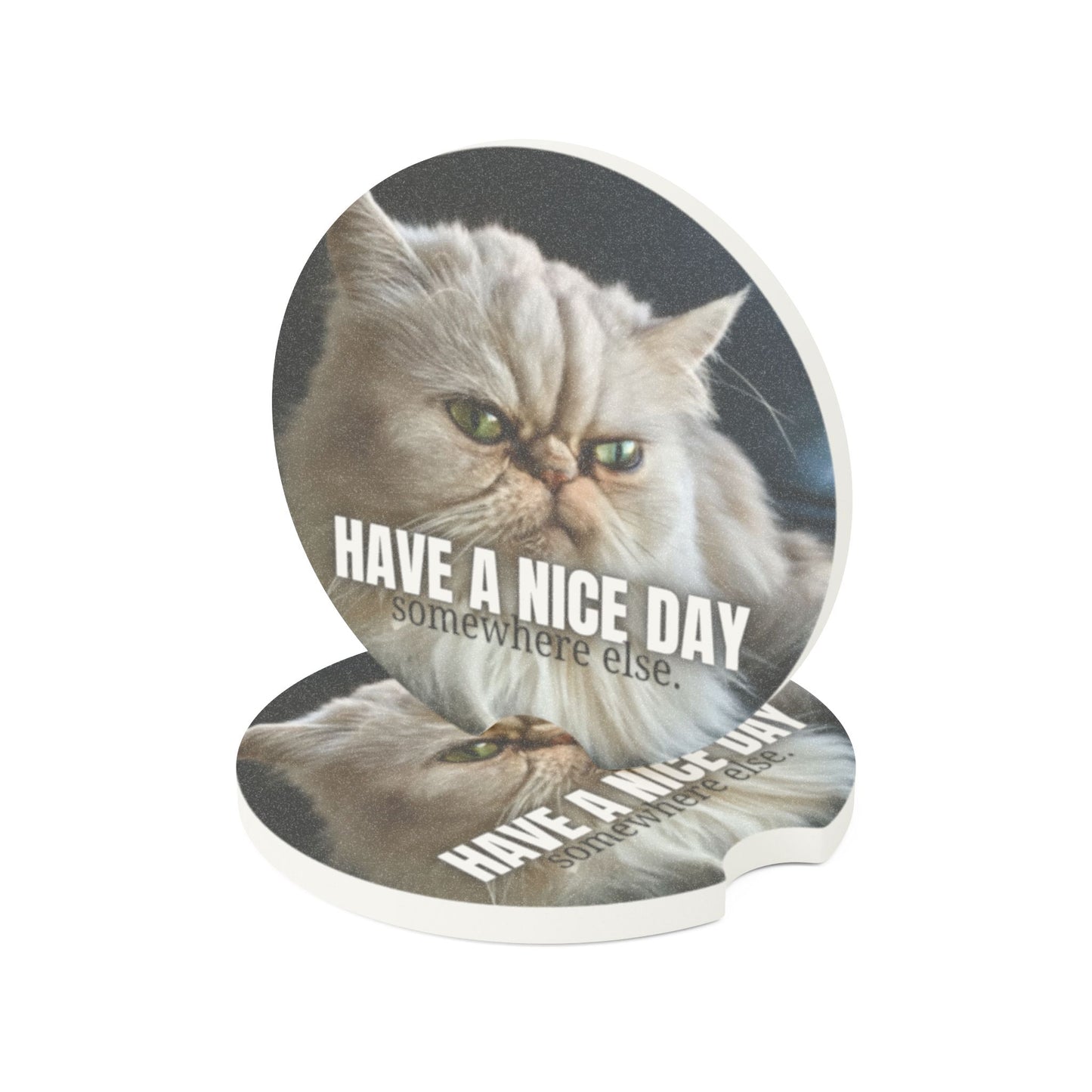 Have a Nice Day Somewhere Else Soapstone Car Coaster