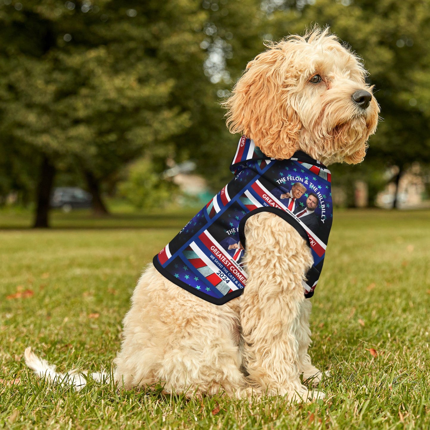 Felon & Hillbilly Greatest Comeback Pet Hoodie