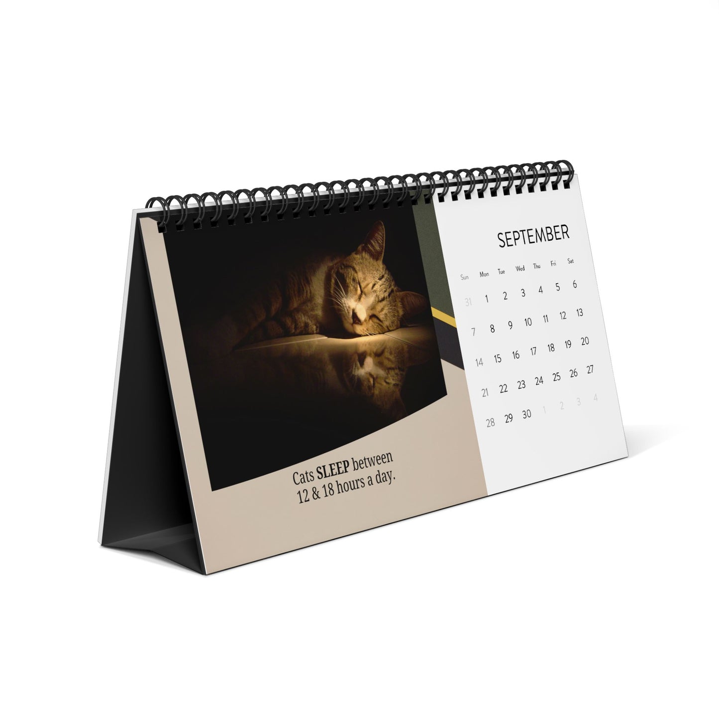 Random Cat Facts Month-by-Month Desktop Calendar (2025 grid)