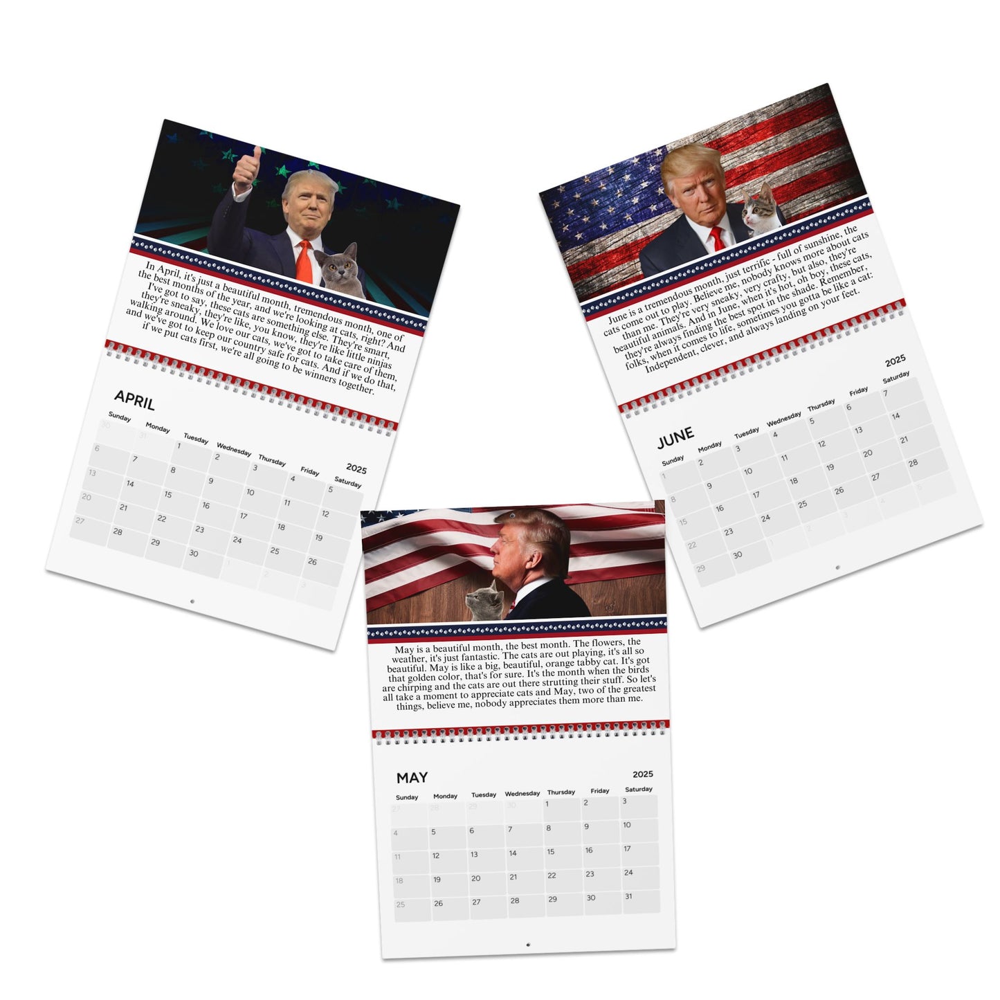 Trump Reflects on Cats Month-by-Month Calendar (2025)