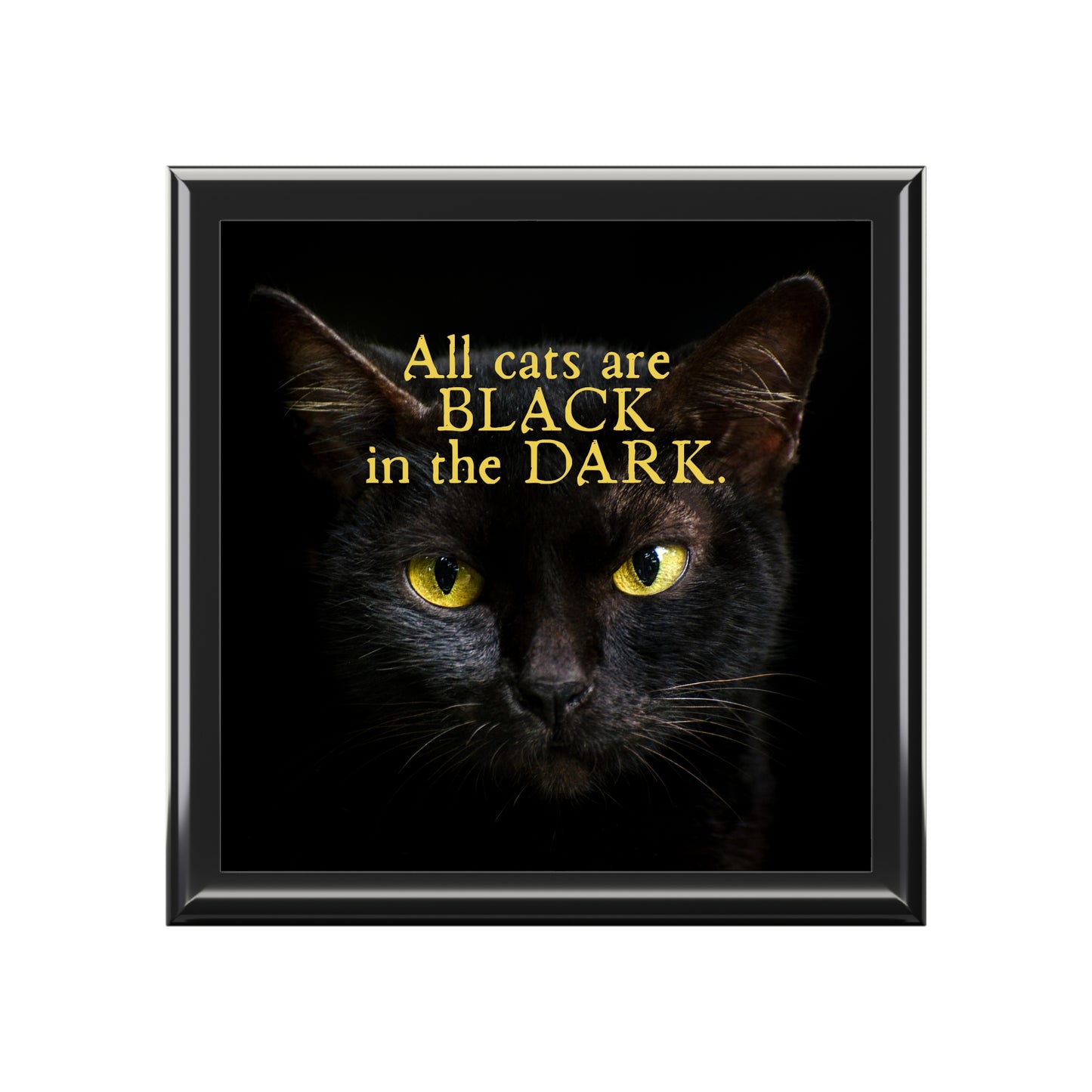 All Cats are Black at Night Jewelry Box