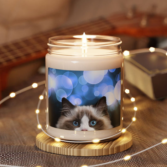 Peeking Kitty Scented Soy Candle, 9oz