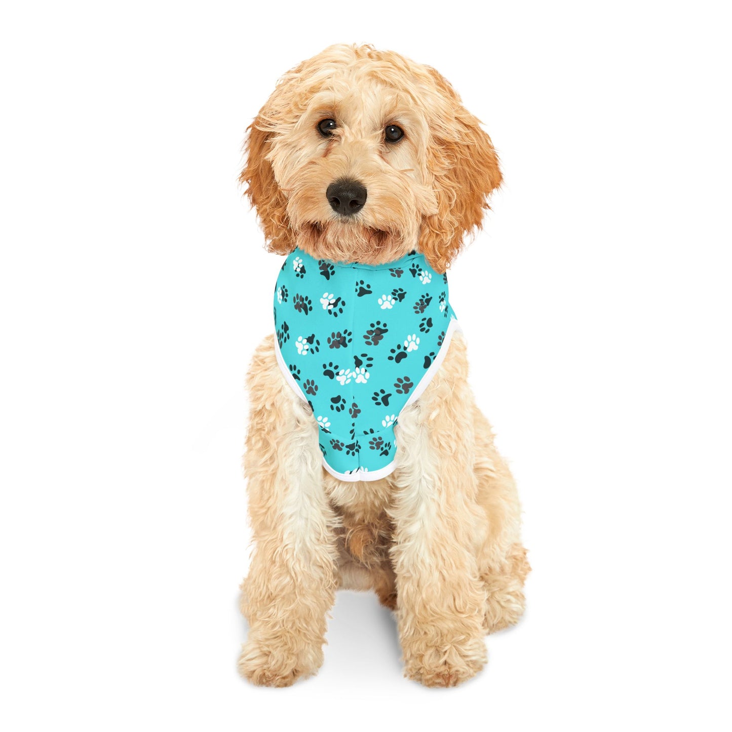 Teal Paw Prints Pet Hoodie