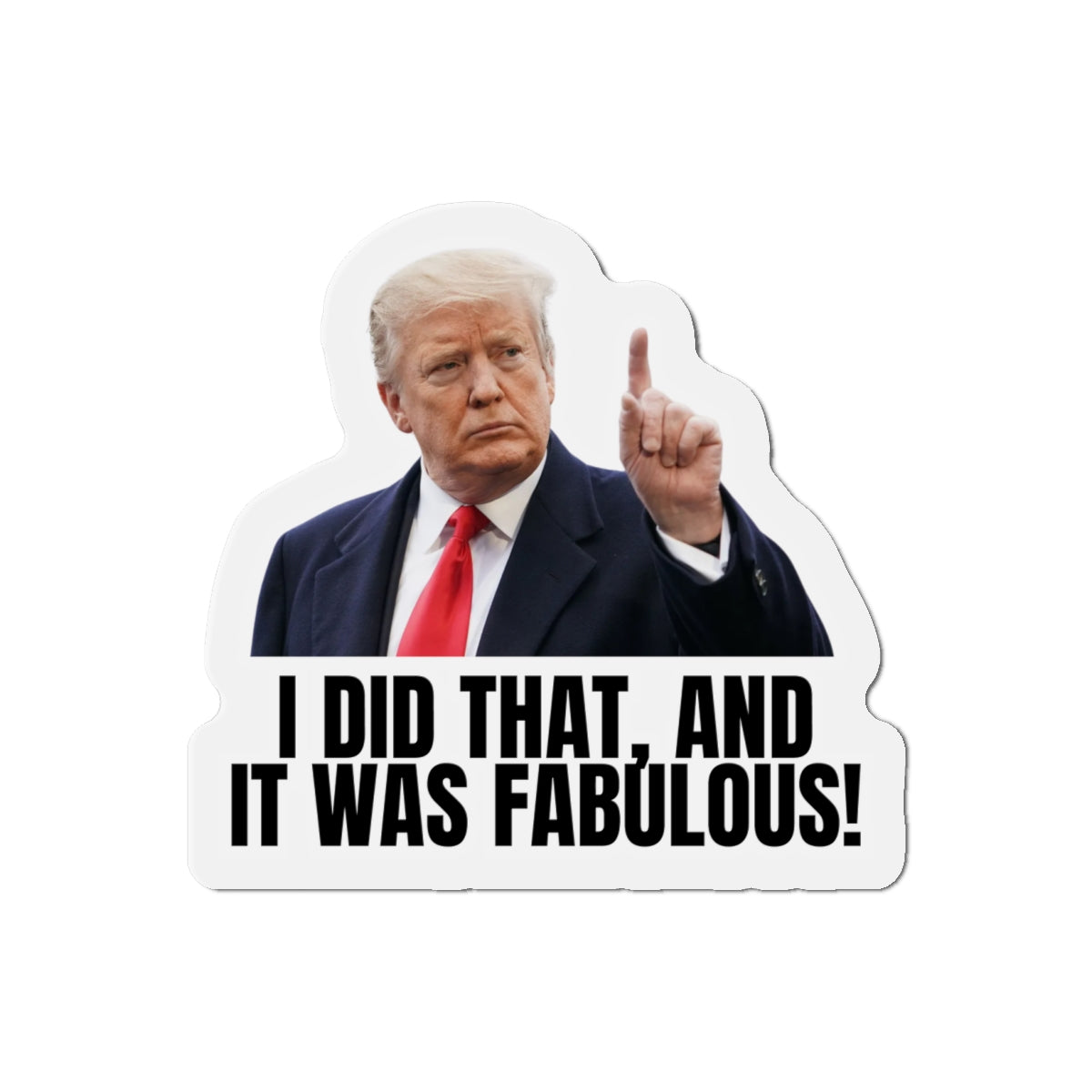 Die-Cut Magnet - "I Did That, And It Was Fabulous!" - Fun Political Decor