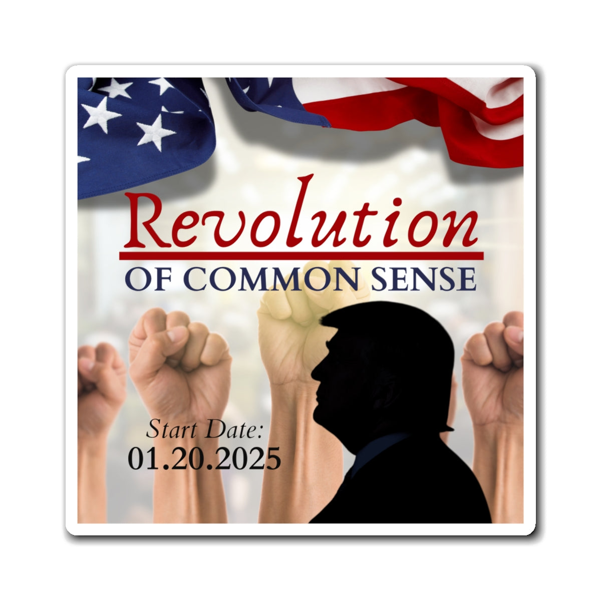 Trump Revolution of Common Sense Magnets