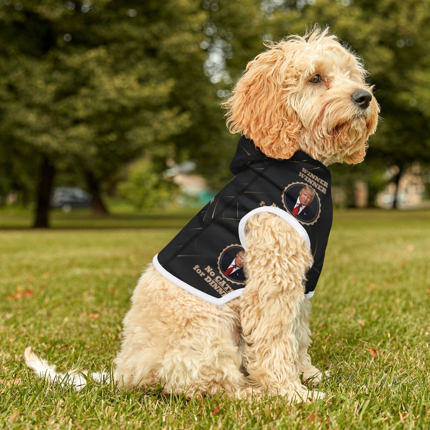 Winner Winner No Cats for Dinner Pet Hoodie