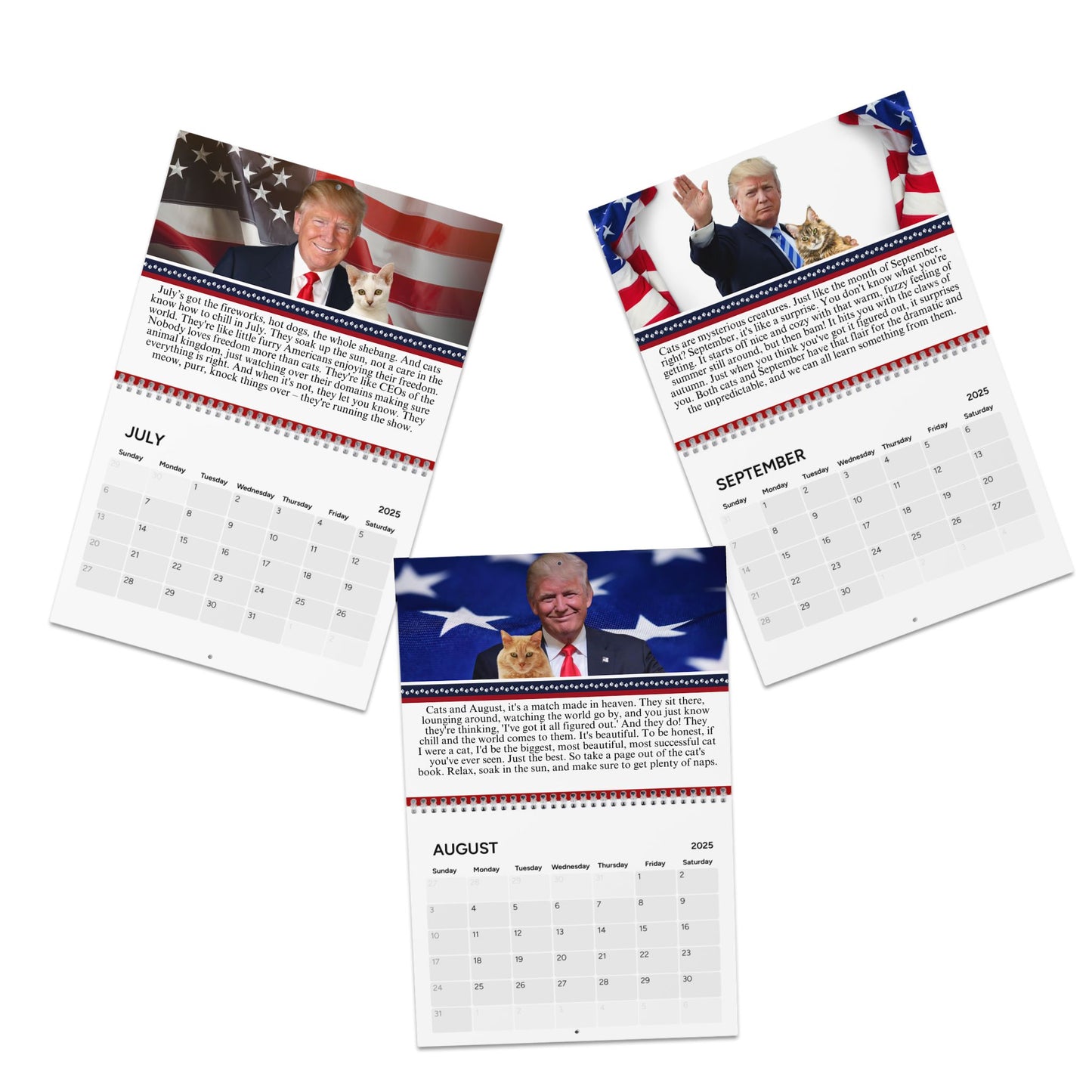 Trump Reflects on Cats Month-by-Month Calendar (2025)