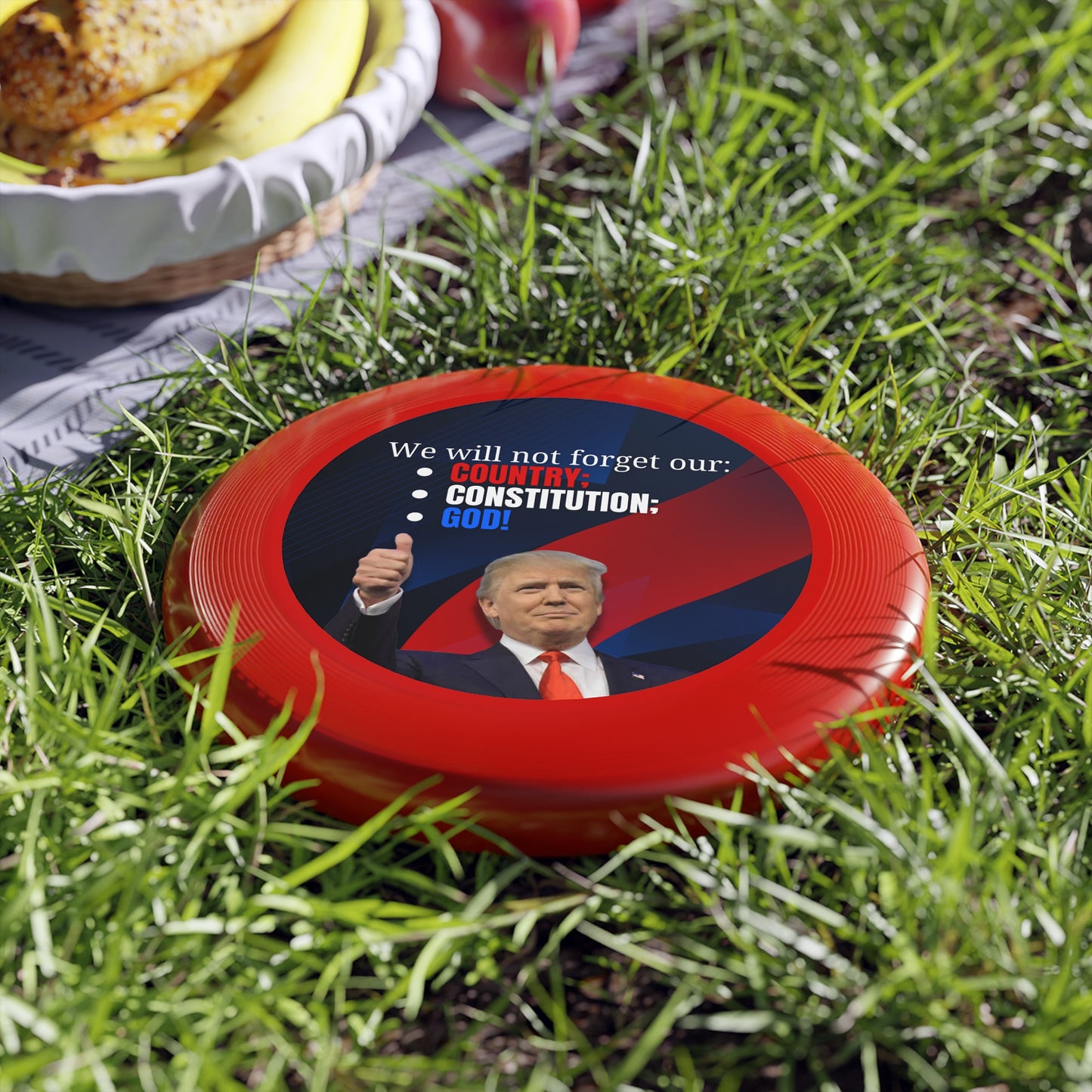 Patriotic Frisbee - "We Will Not Forget Our Country; Constitution; God!"