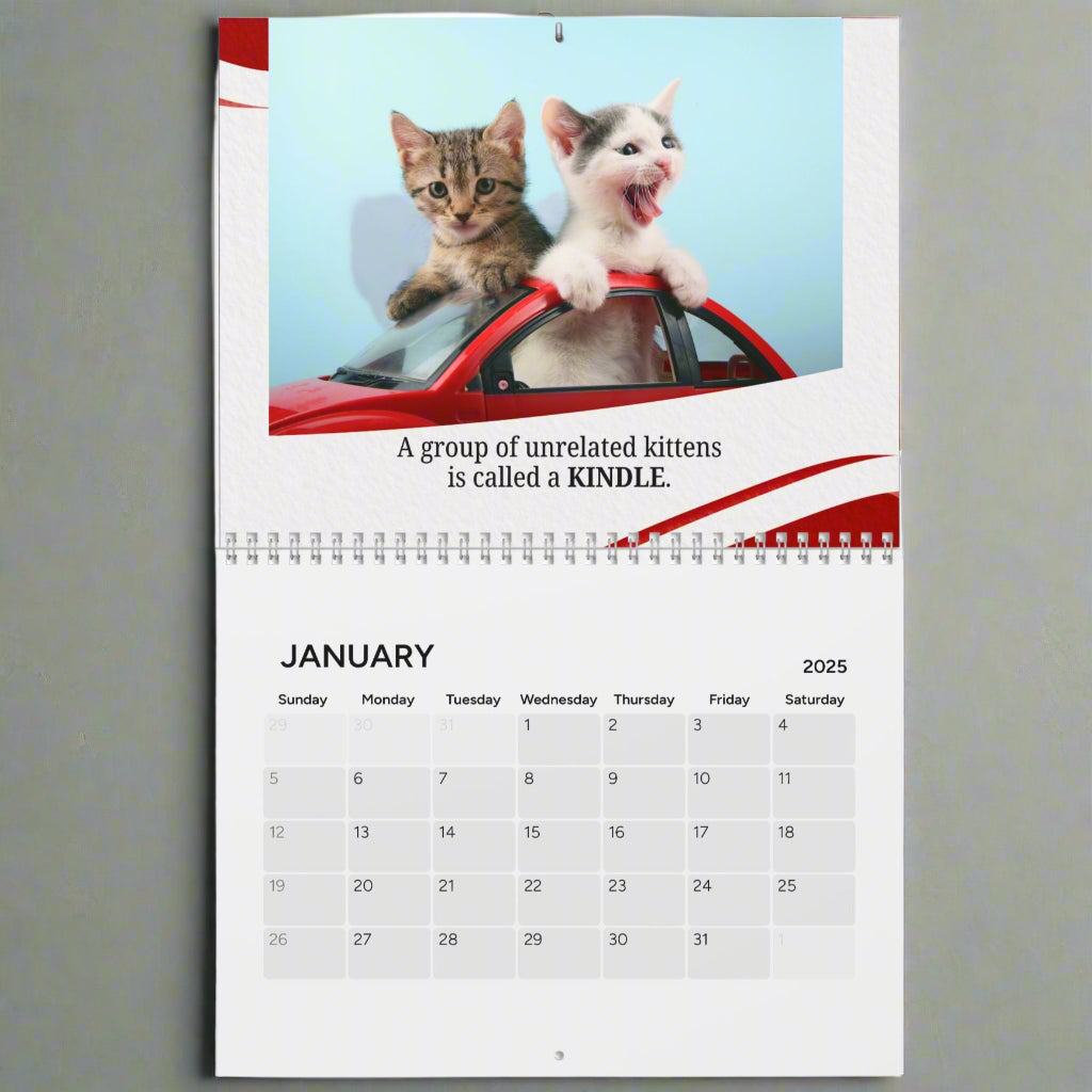 Random Cat Facts Month-by-Month Calendar (2025)