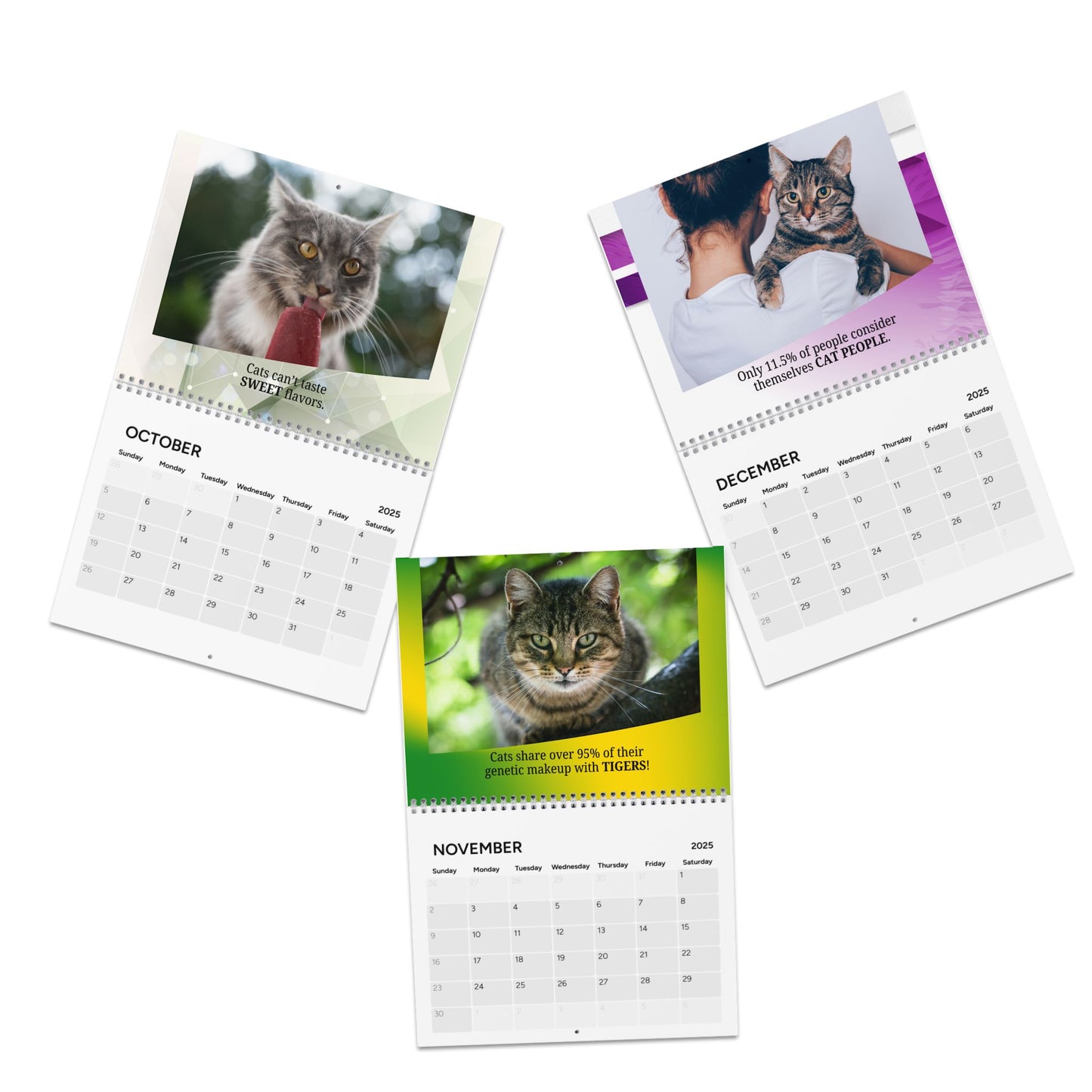 Random Cat Facts Month-by-Month Calendar (2025)