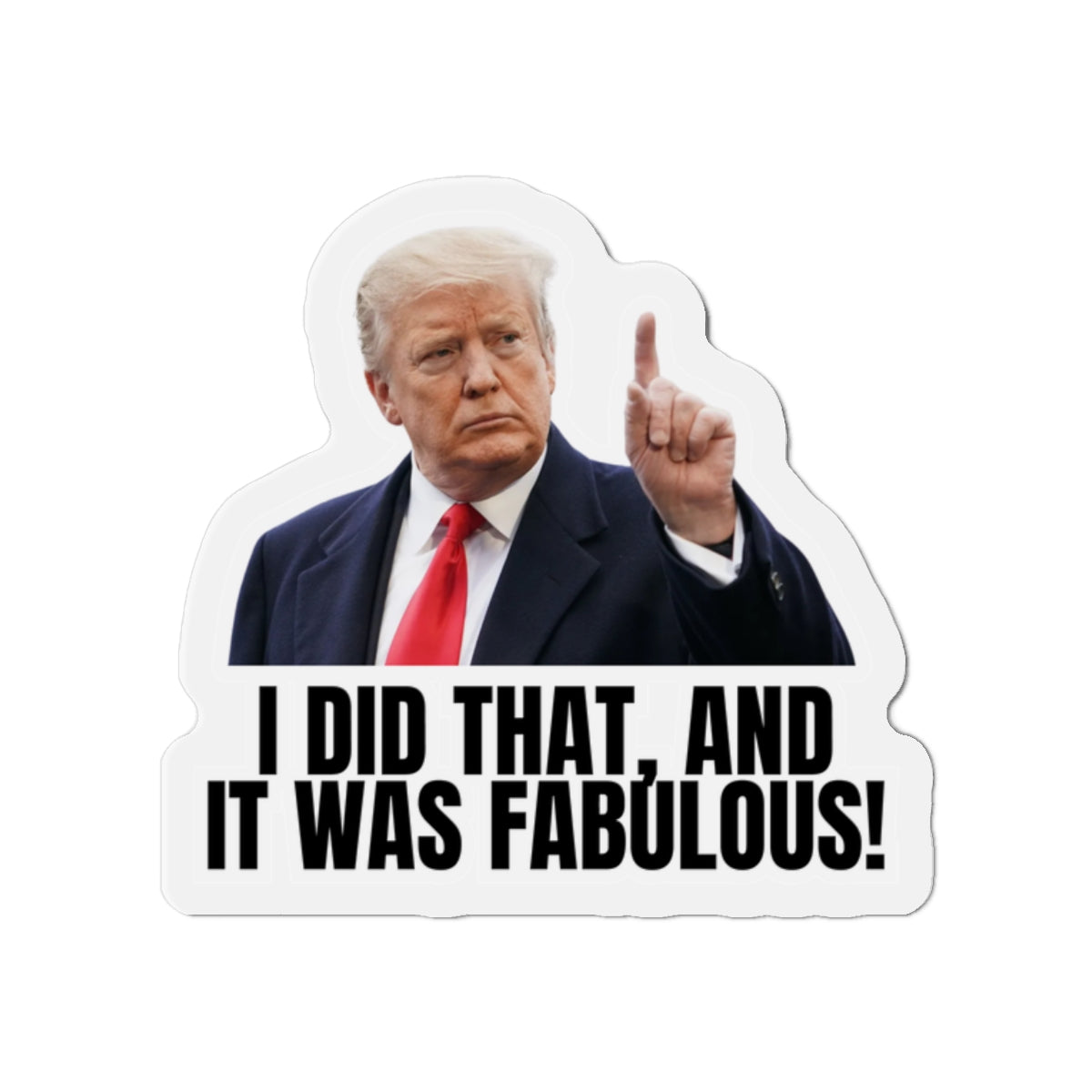 Die-Cut Magnet - "I Did That, And It Was Fabulous!" - Fun Political Decor