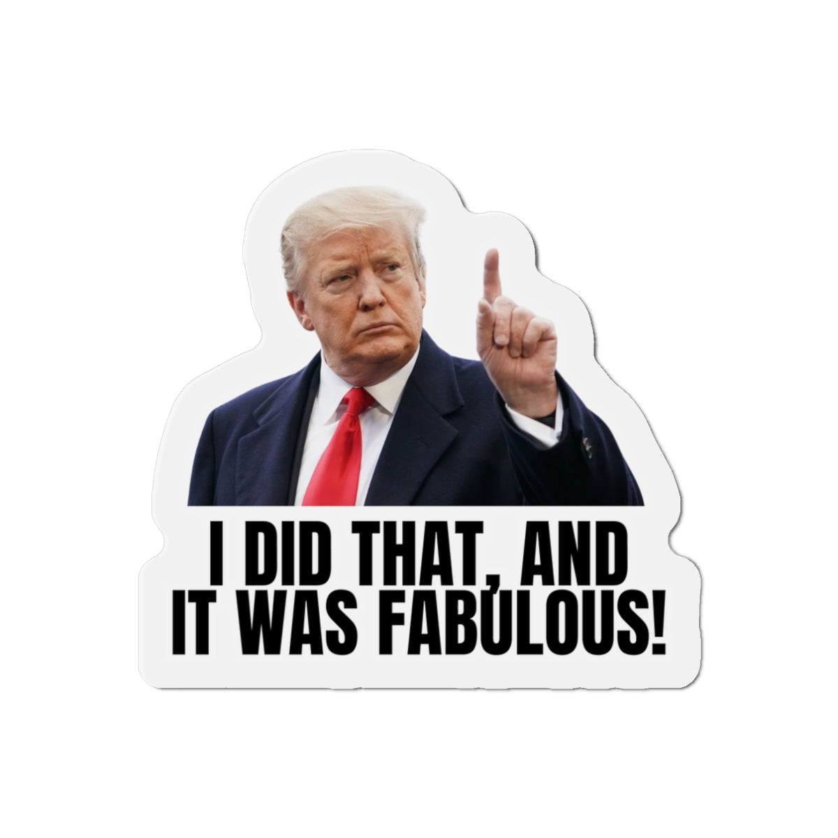 Die-Cut Magnet - "I Did That, And It Was Fabulous!" - Fun Political Decor