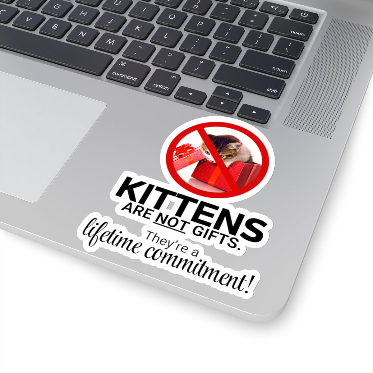 Kittens Are Not Gifts Kiss-Cut Stickers