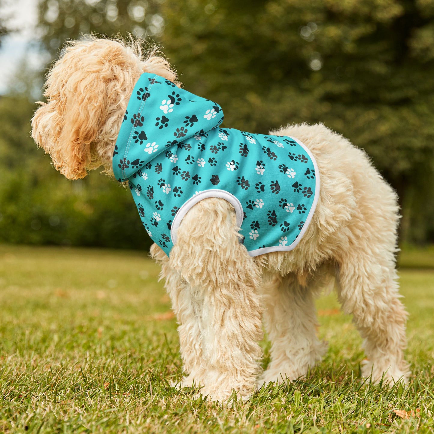 Teal Paw Prints Pet Hoodie