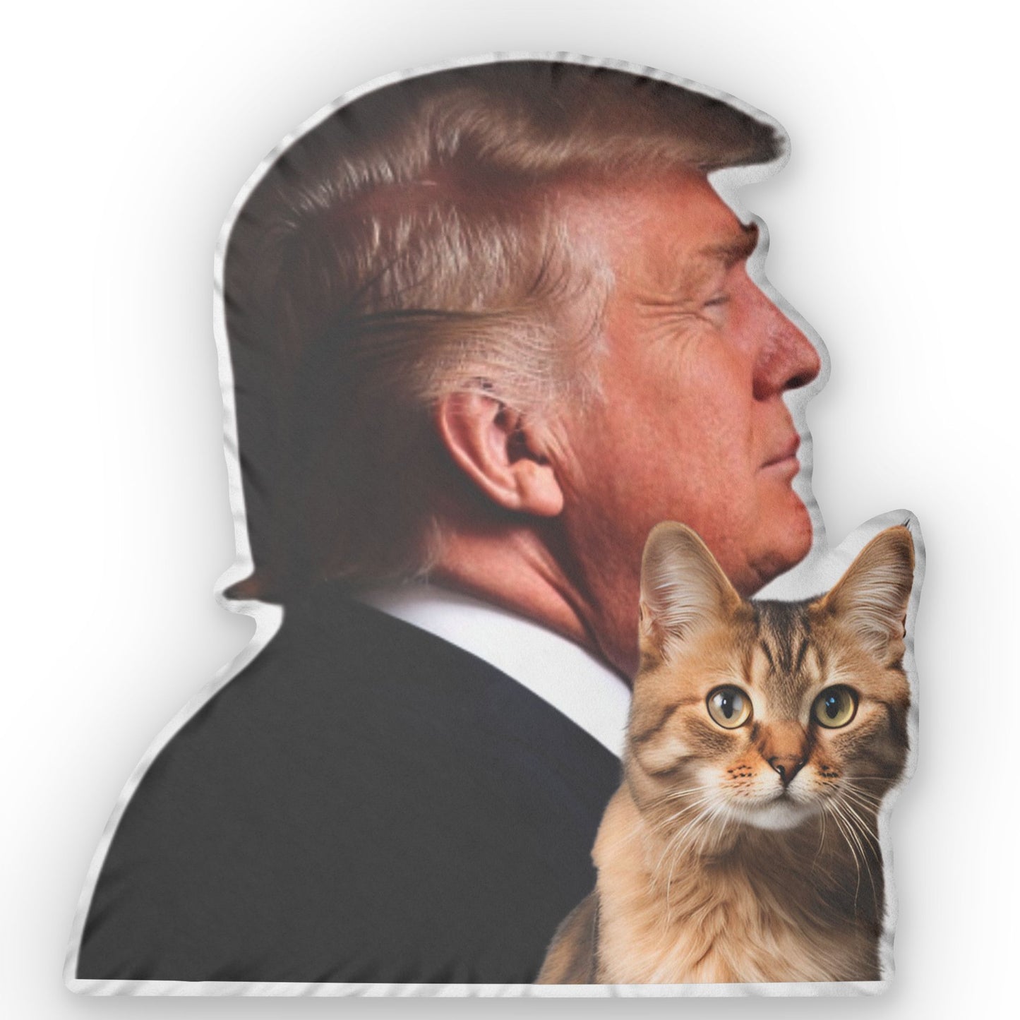 Proud Cat Lady/Trump Lady Pillow