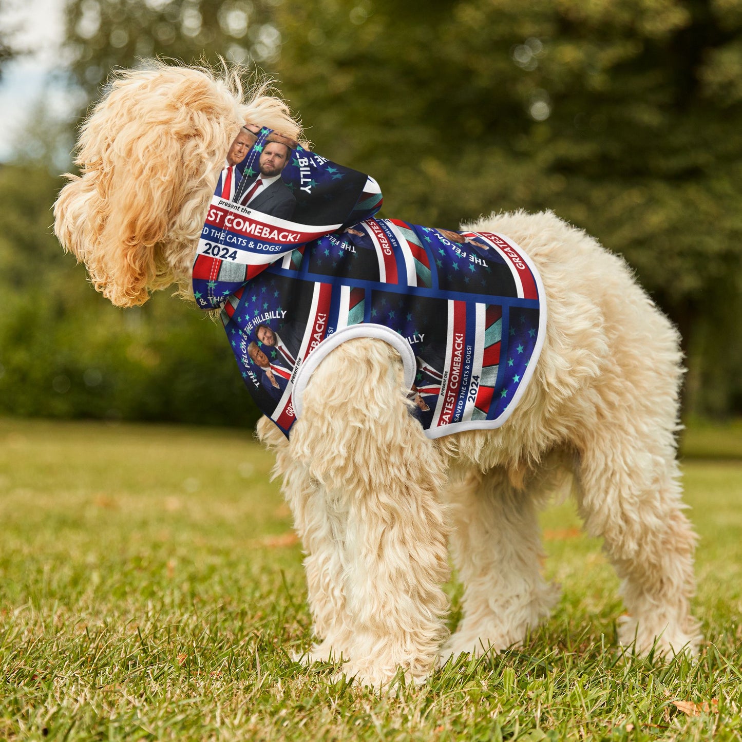 Felon & Hillbilly Greatest Comeback Pet Hoodie