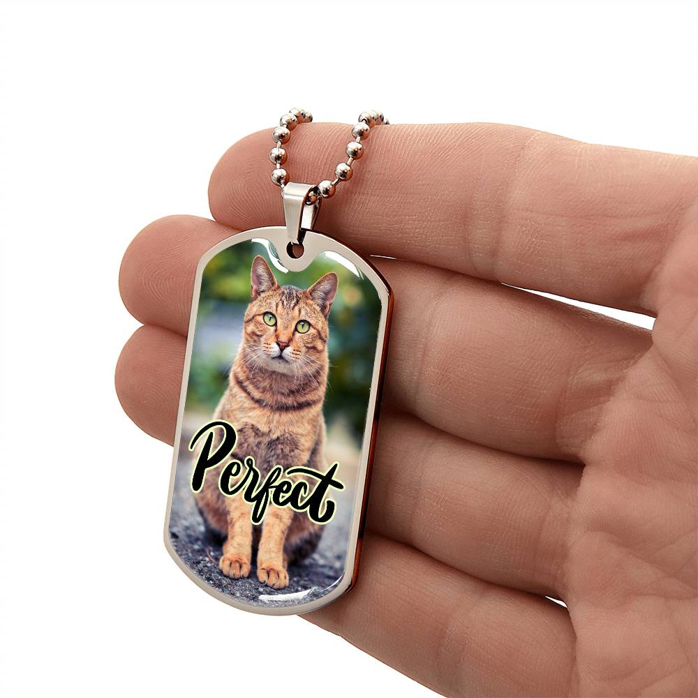 Perfect Cat Necklace