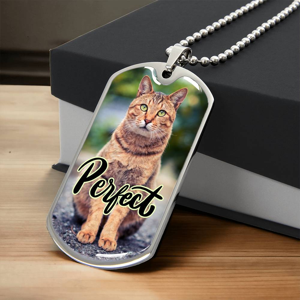 Perfect Cat Necklace