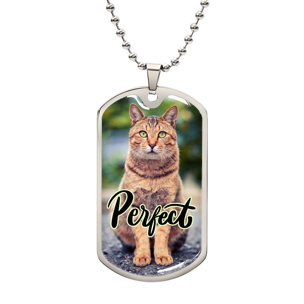 Perfect Cat Necklace