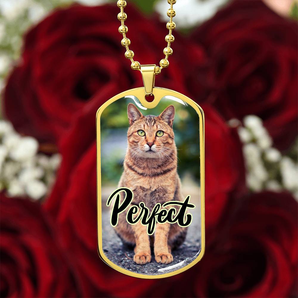 Perfect Cat Necklace