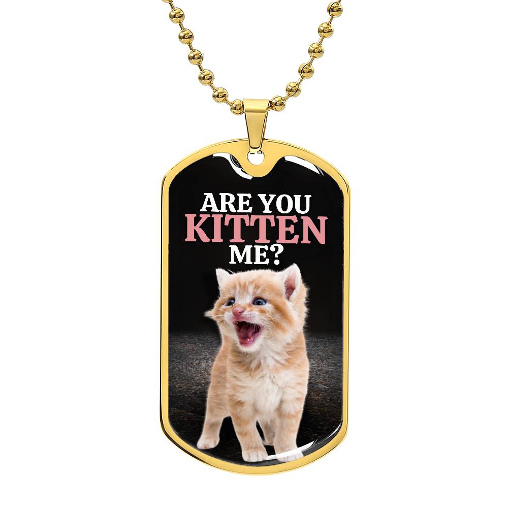 Are You Kitten Me Necklace