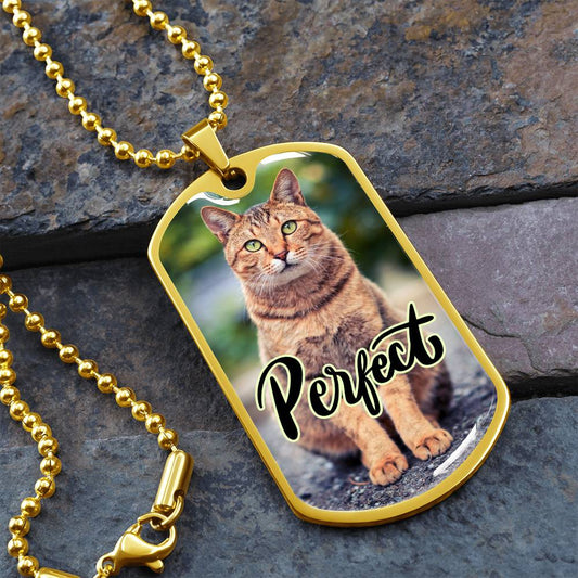 Perfect Cat Necklace