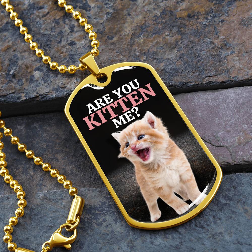 Are You Kitten Me Necklace