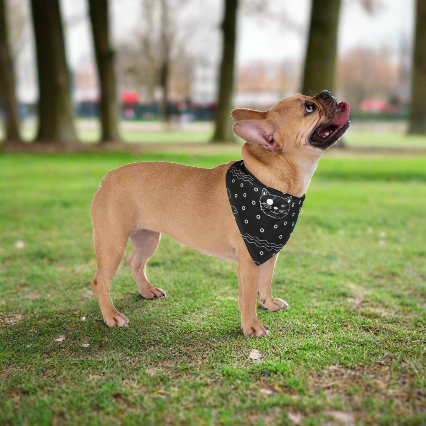 B&W Kitty Pet Bandana - Pets - Epileptic Al’s Shop