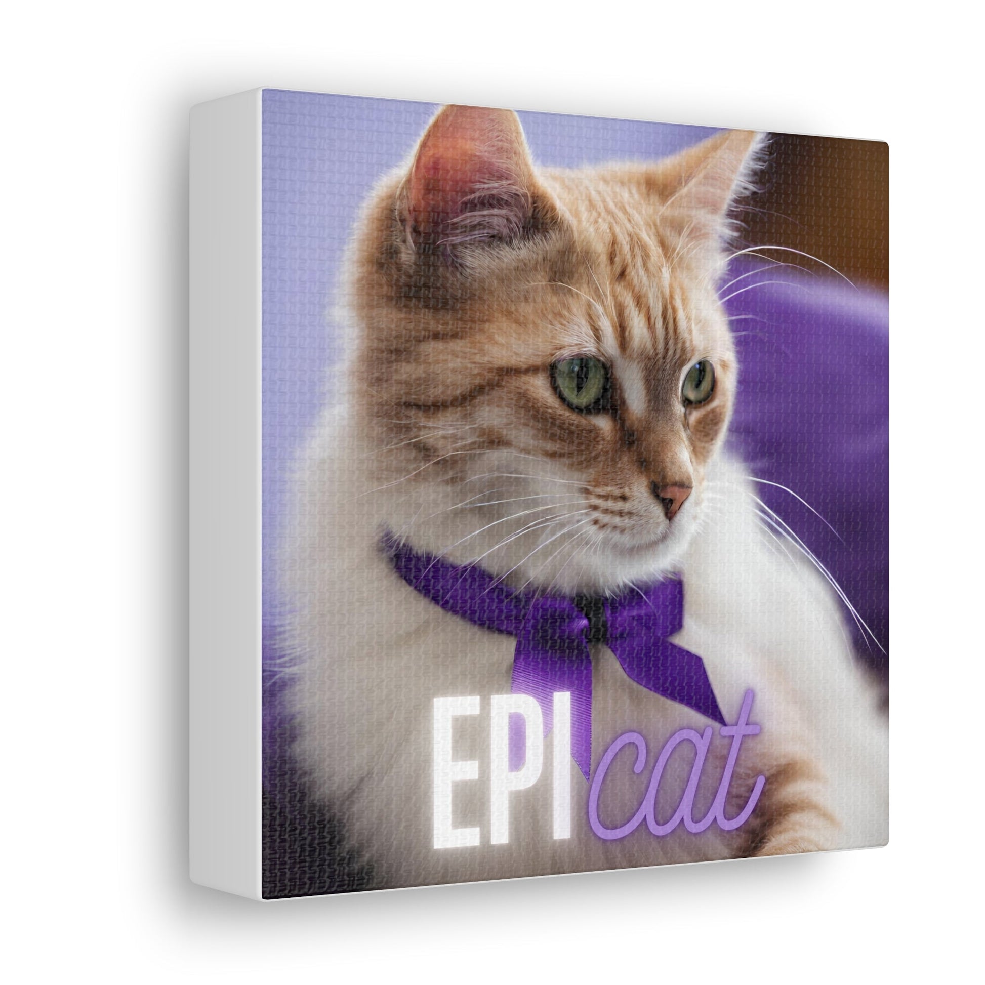 EpiCat Canvas Gallery Wraps - Canvas - Epileptic Al’s Shop