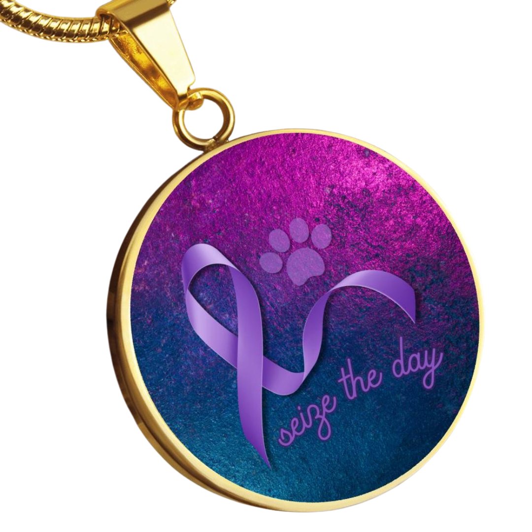 Feline Epilepsy Awareness Necklace - Jewelry - Epileptic Al’s Shop