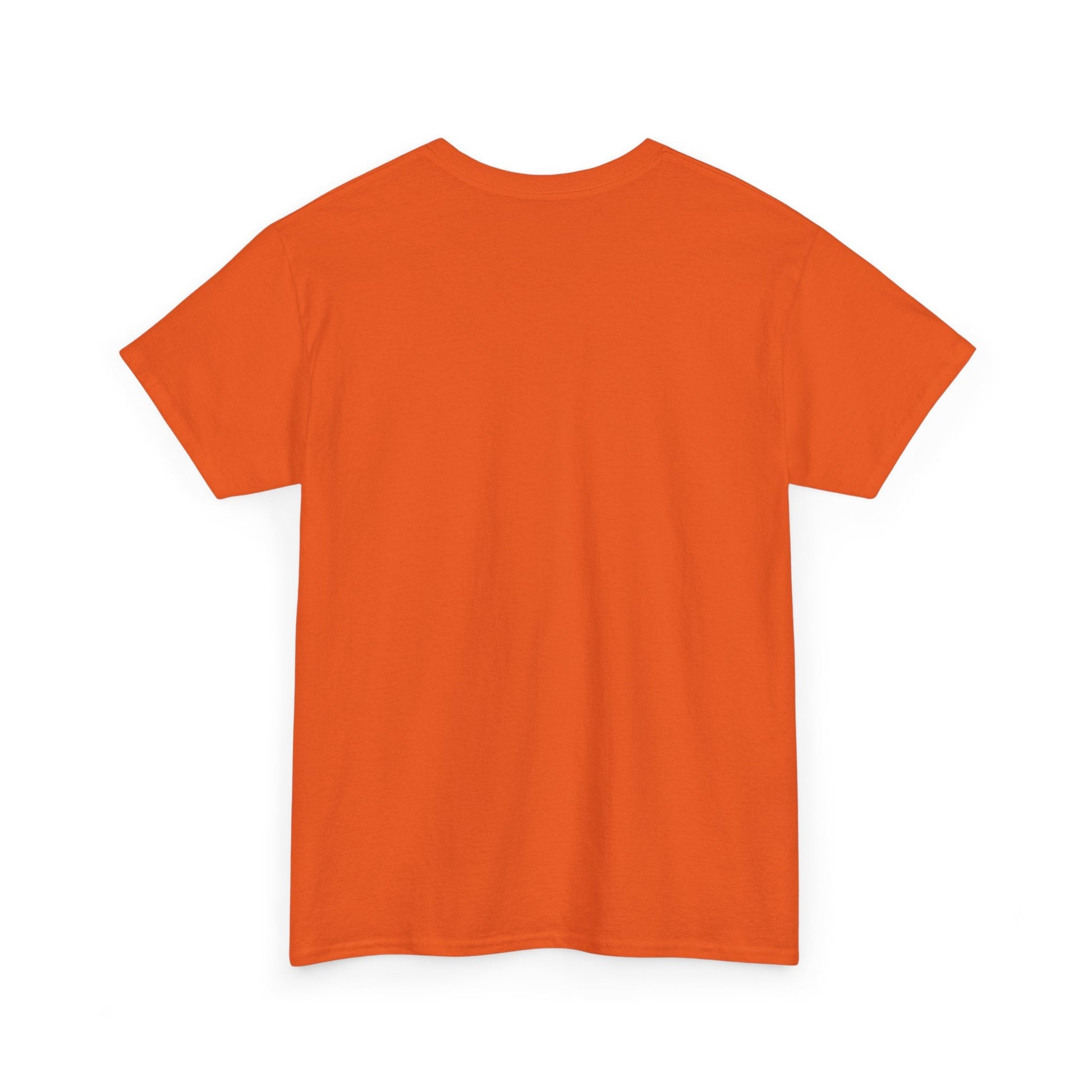 Orange Cat Unisex Heavy Cotton Tee - T - Shirt - Epileptic Al’s Shop